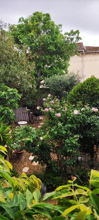 Villa Fontilha Usclas-l'Herault Dış mekan fotoğraf