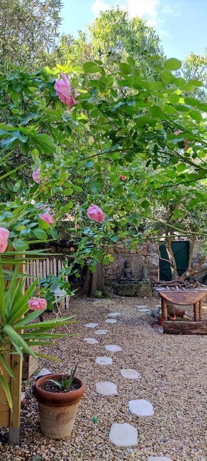 Villa Fontilha Usclas-l'Herault Dış mekan fotoğraf